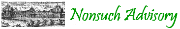 Nonsuch Advisory logo